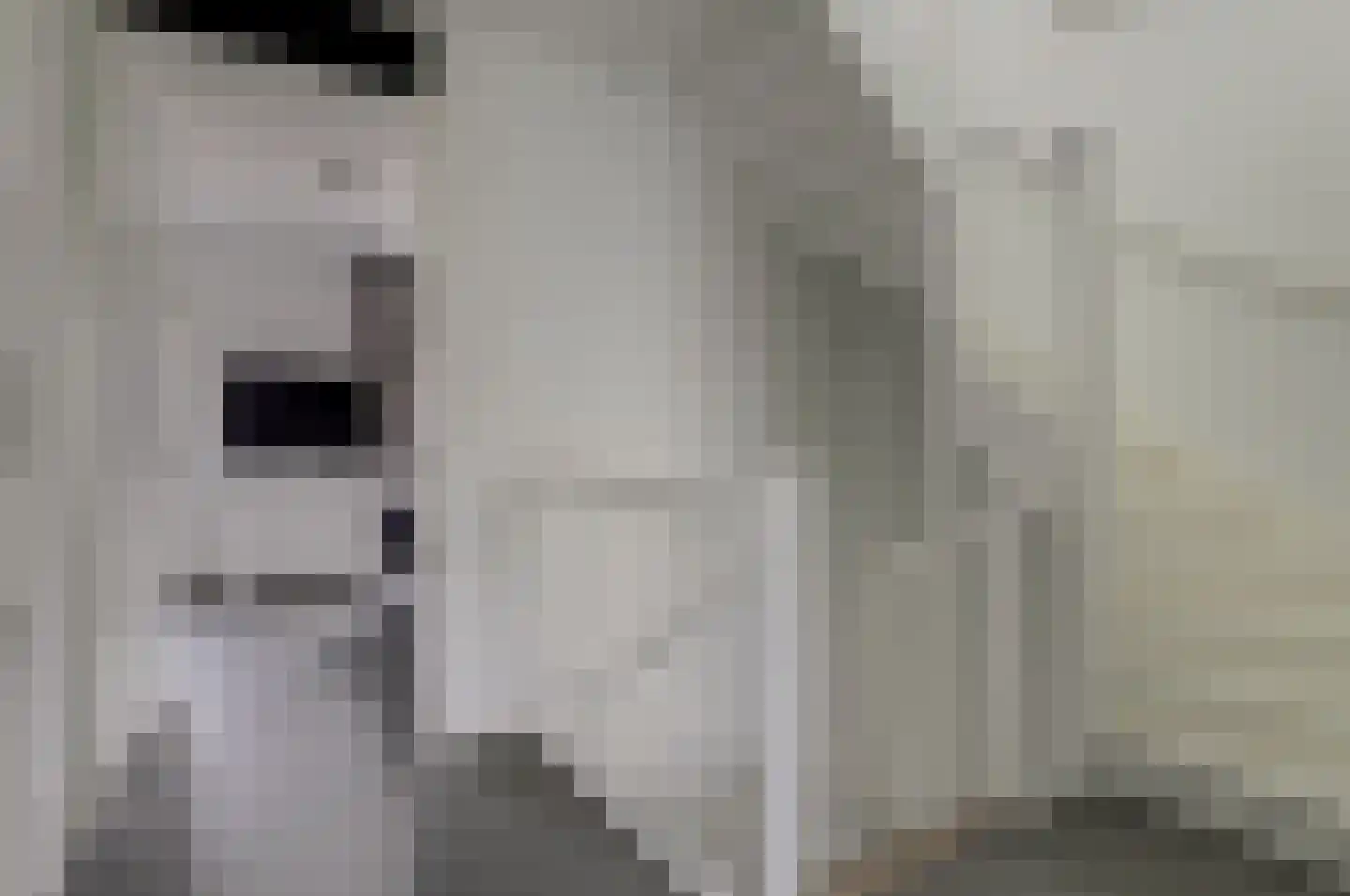 Vliestroom 10 Harlingen thumbnail 20