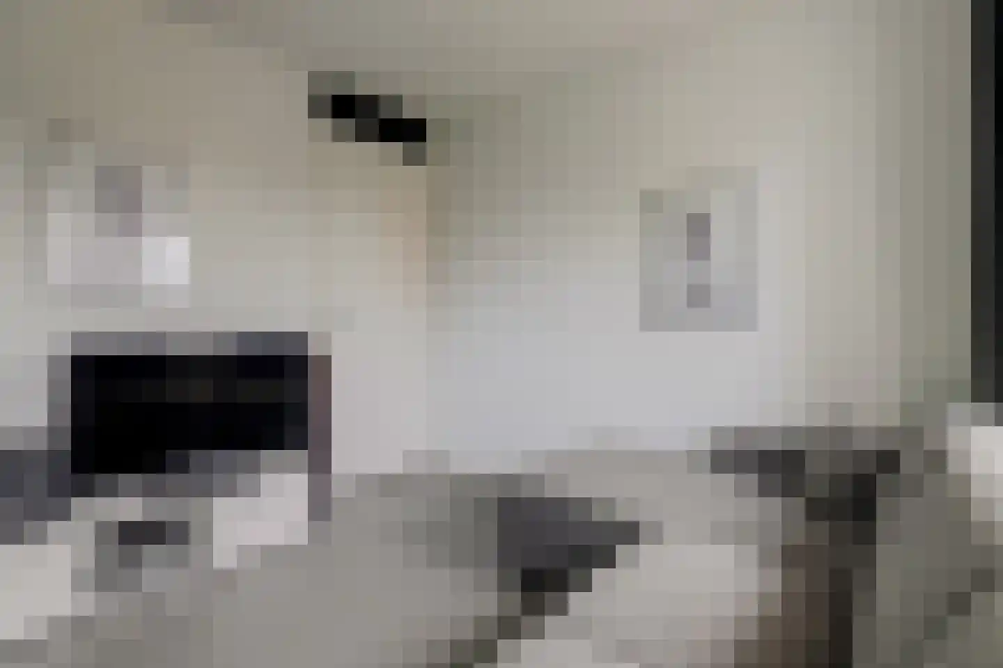 Vliestroom 10 Harlingen thumbnail 24