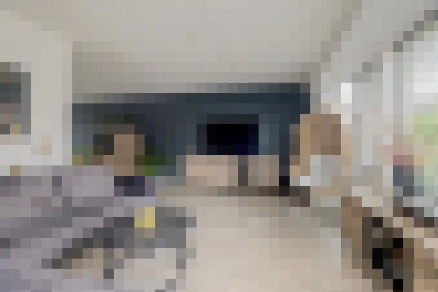 Vliestroom 10 Harlingen thumbnail 5