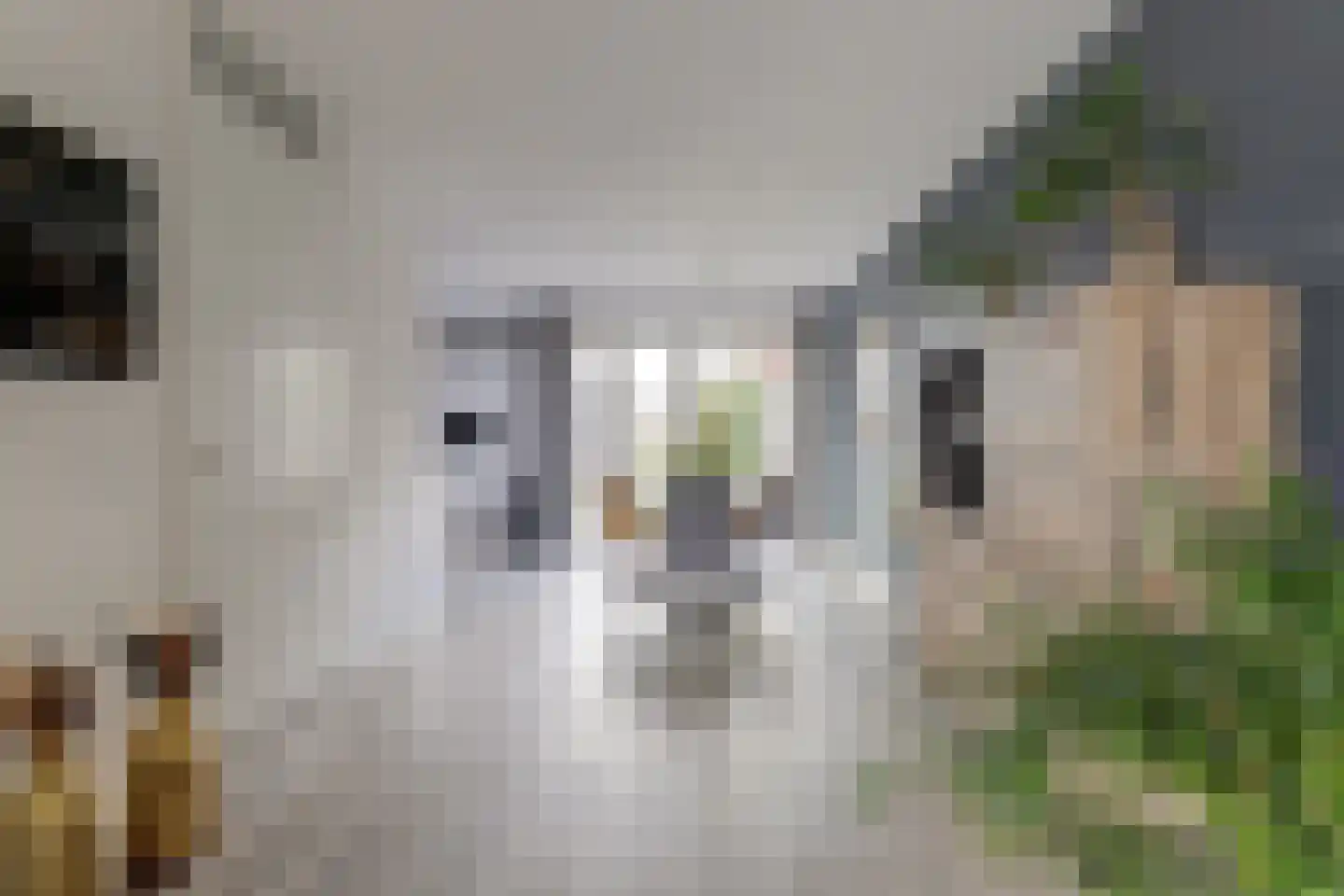 Vliestroom 10 Harlingen thumbnail 8