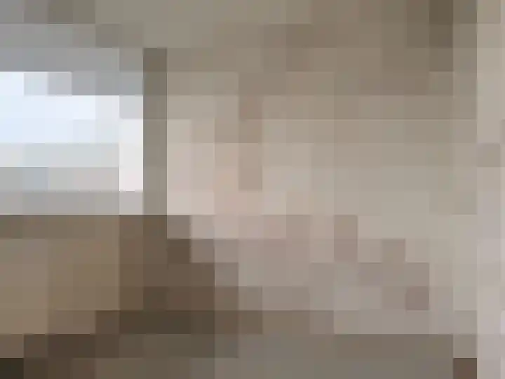 Vliestroom 13 A Alphen aan den Rijn thumbnail 11