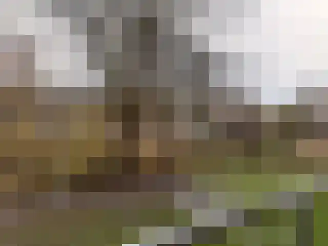 Vliestroom 13 A Alphen aan den Rijn thumbnail 15
