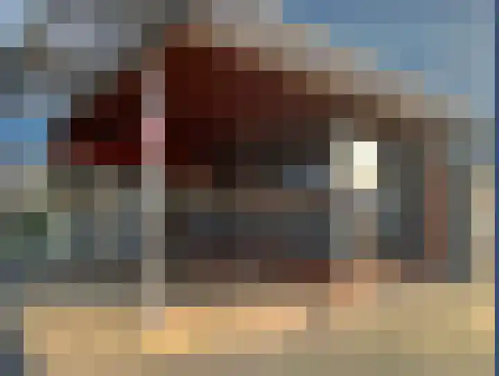 Vliestroom 13 A Alphen aan den Rijn thumbnail 20