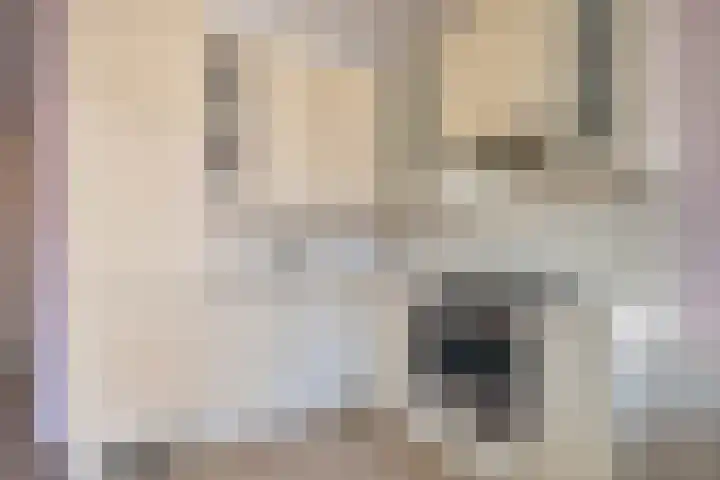 Vliestroom 13 Alphen aan den Rijn thumbnail 16