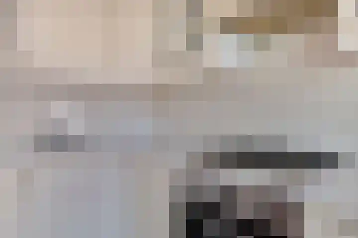 Vliestroom 13 Alphen aan den Rijn thumbnail 17