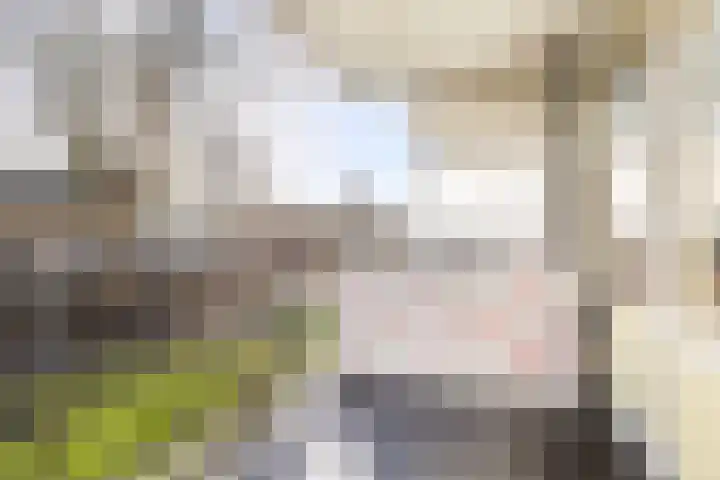 Vliestroom 13 Alphen aan den Rijn thumbnail 23