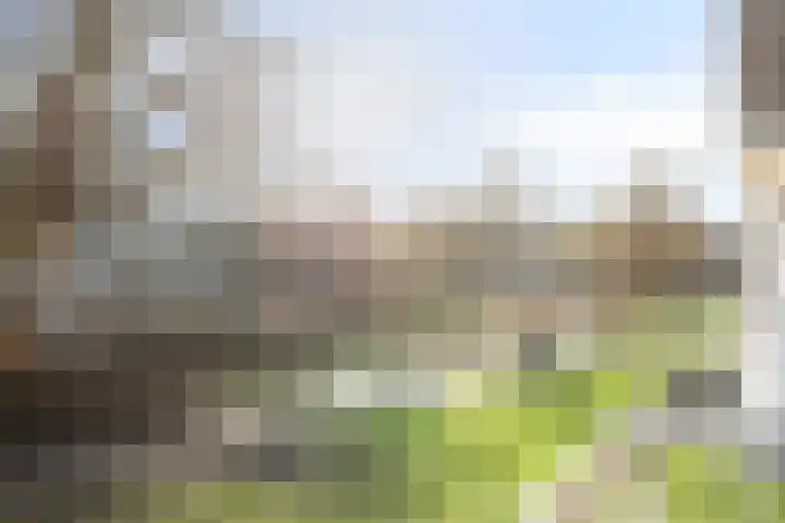 Vliestroom 13 Alphen aan den Rijn thumbnail 24