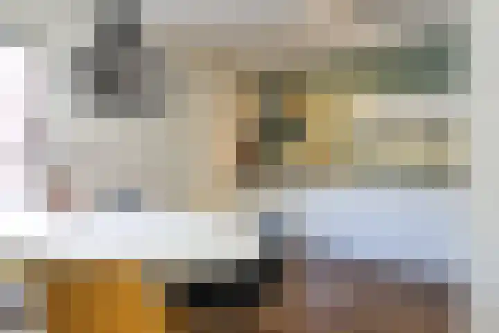 Vliestroom 13 Harlingen thumbnail 15