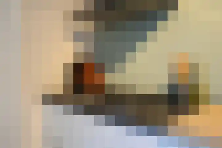 Vliestroom 13 Harlingen thumbnail 17