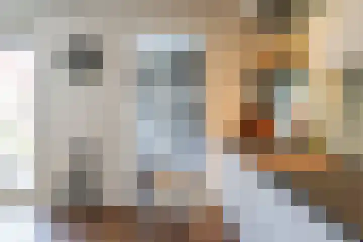 Vliestroom 13 Harlingen thumbnail 25