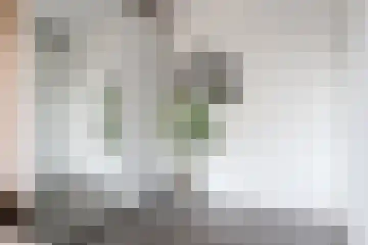 Vliestroom 13 Harlingen thumbnail 33