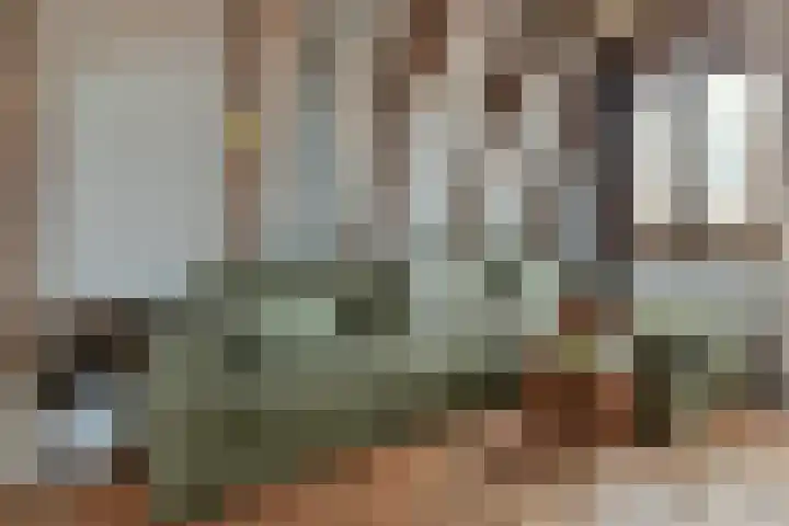 Vliestroom 13 Harlingen thumbnail 44