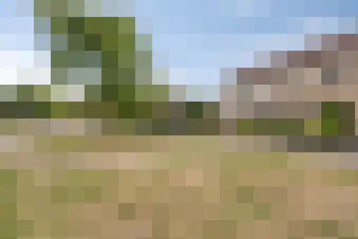 Vliestroom 13 Harlingen thumbnail 46