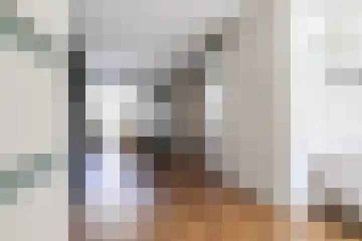 Vliestroom 13 Harlingen thumbnail 7