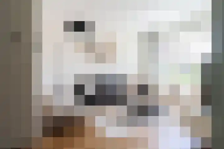 Vliestroom 13 Harlingen thumbnail 9