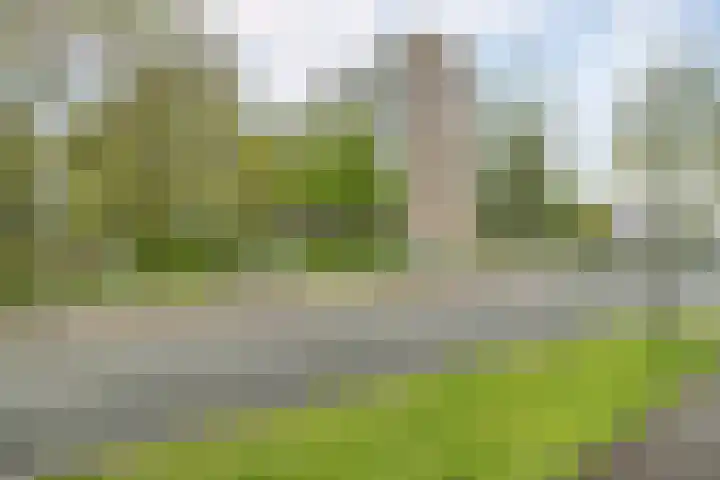 Vliestroom 138 Alphen aan den Rijn thumbnail 30