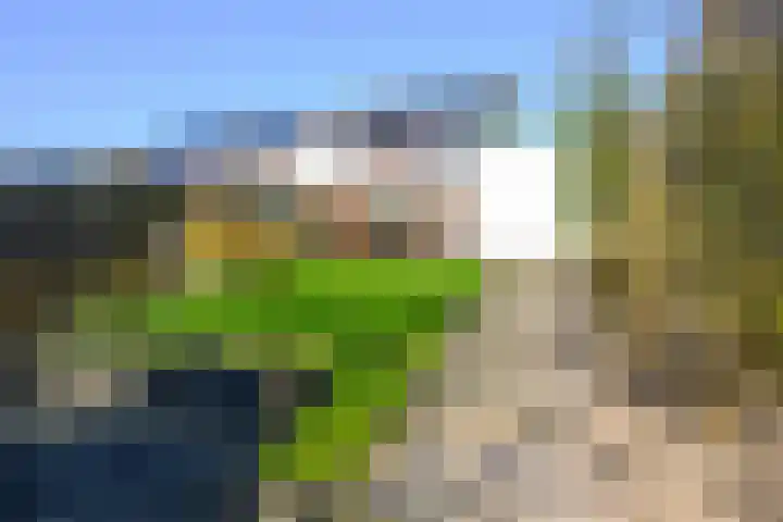Vliestroom 14 Wieringerwerf thumbnail 40