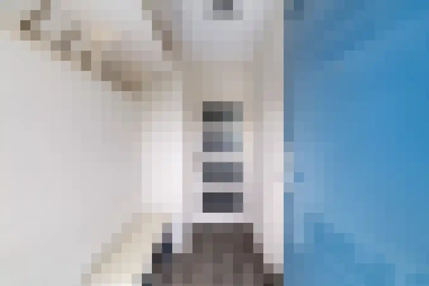 Vliestroom 143 Alphen aan den Rijn thumbnail 10