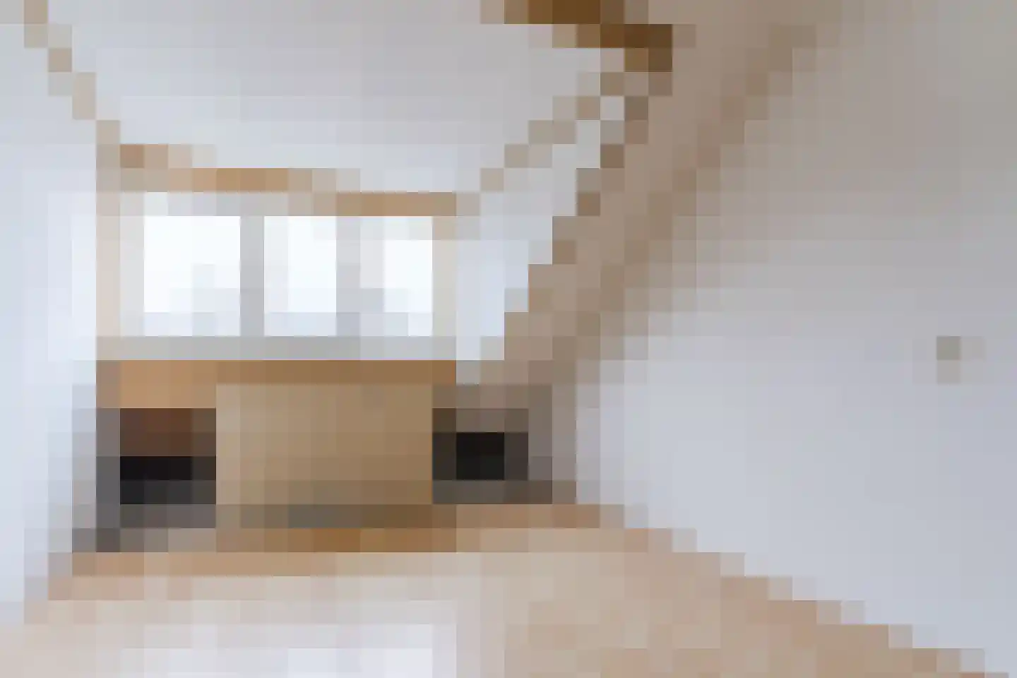 Vliestroom 15 Alkmaar thumbnail 21