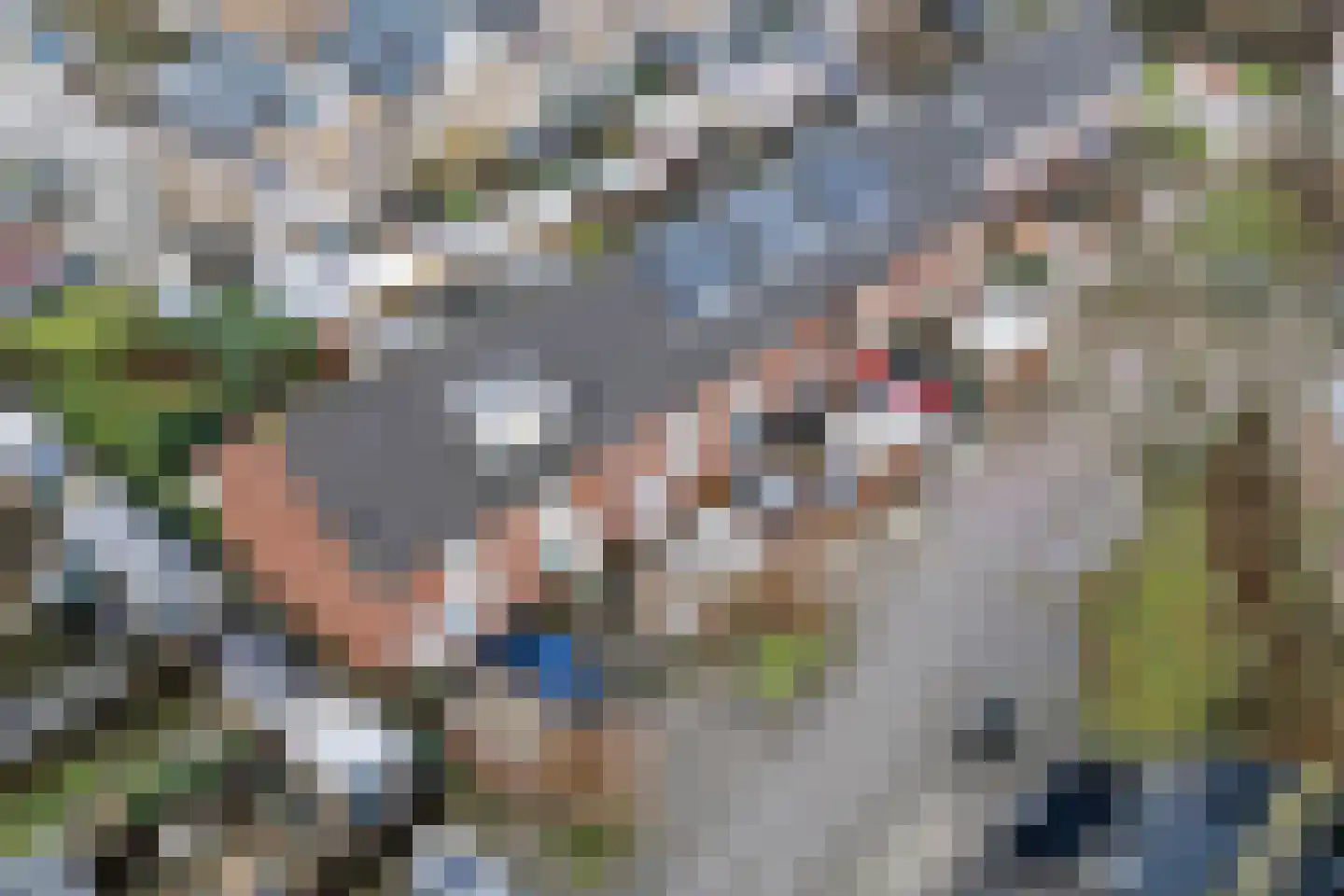 Vliestroom 15 Alkmaar thumbnail 28