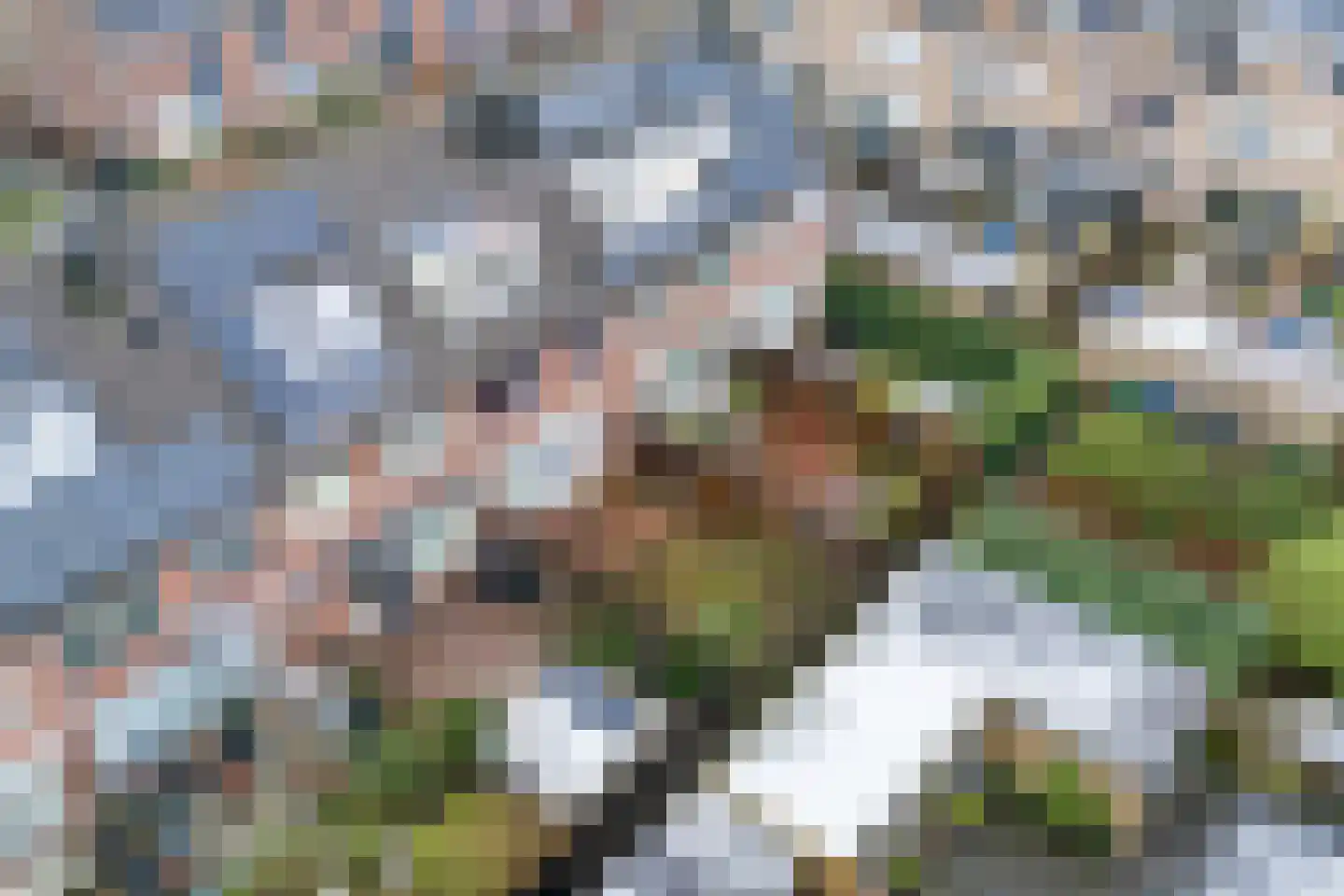 Vliestroom 15 Alkmaar thumbnail 29