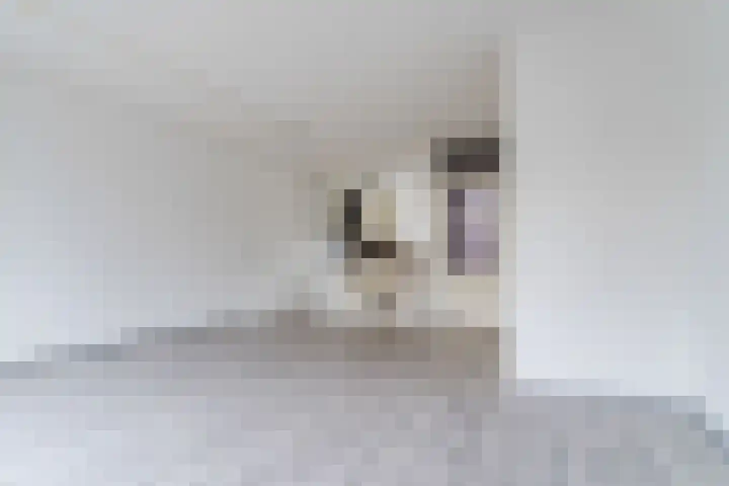 Vliestroom 15 Alkmaar thumbnail 6