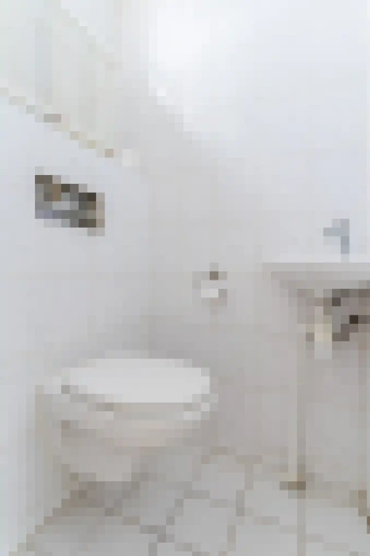 Vliestroom 15 Alkmaar thumbnail 8
