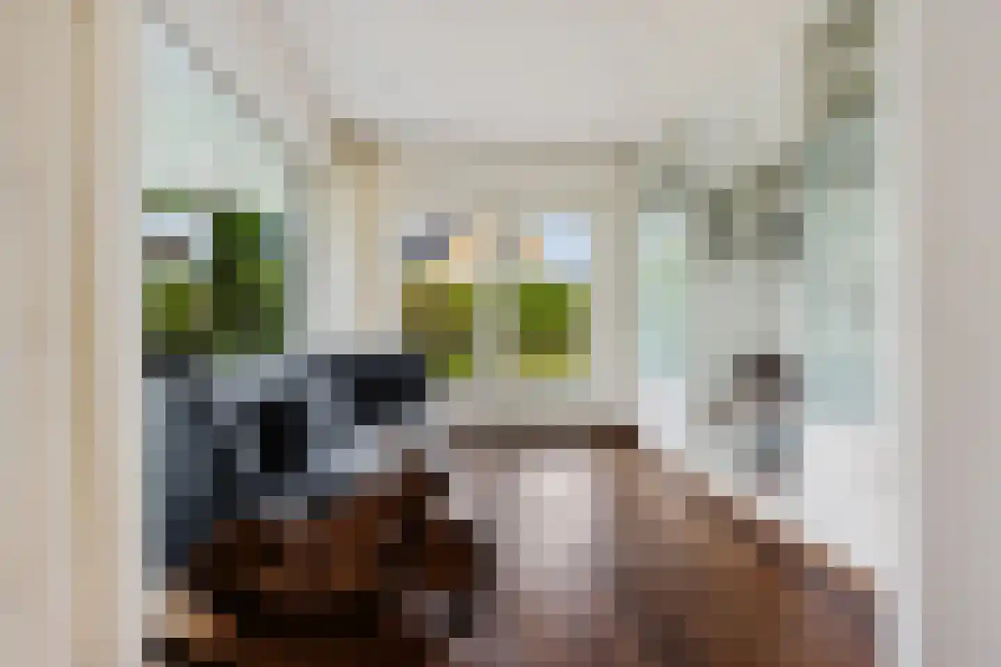 Vliestroom 16 Sneek thumbnail 10