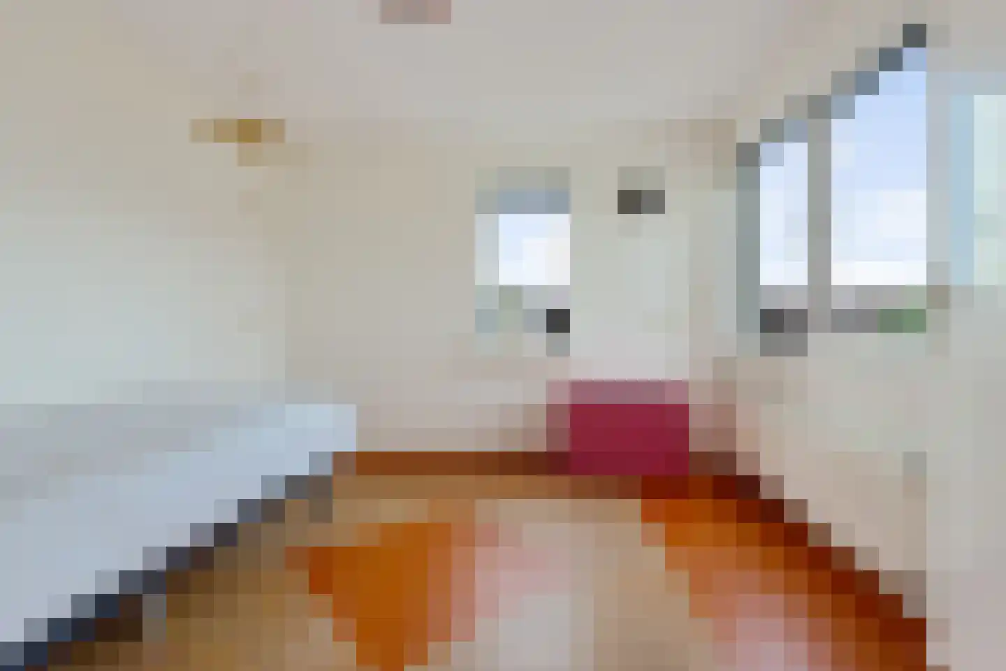 Vliestroom 16 Sneek thumbnail 18