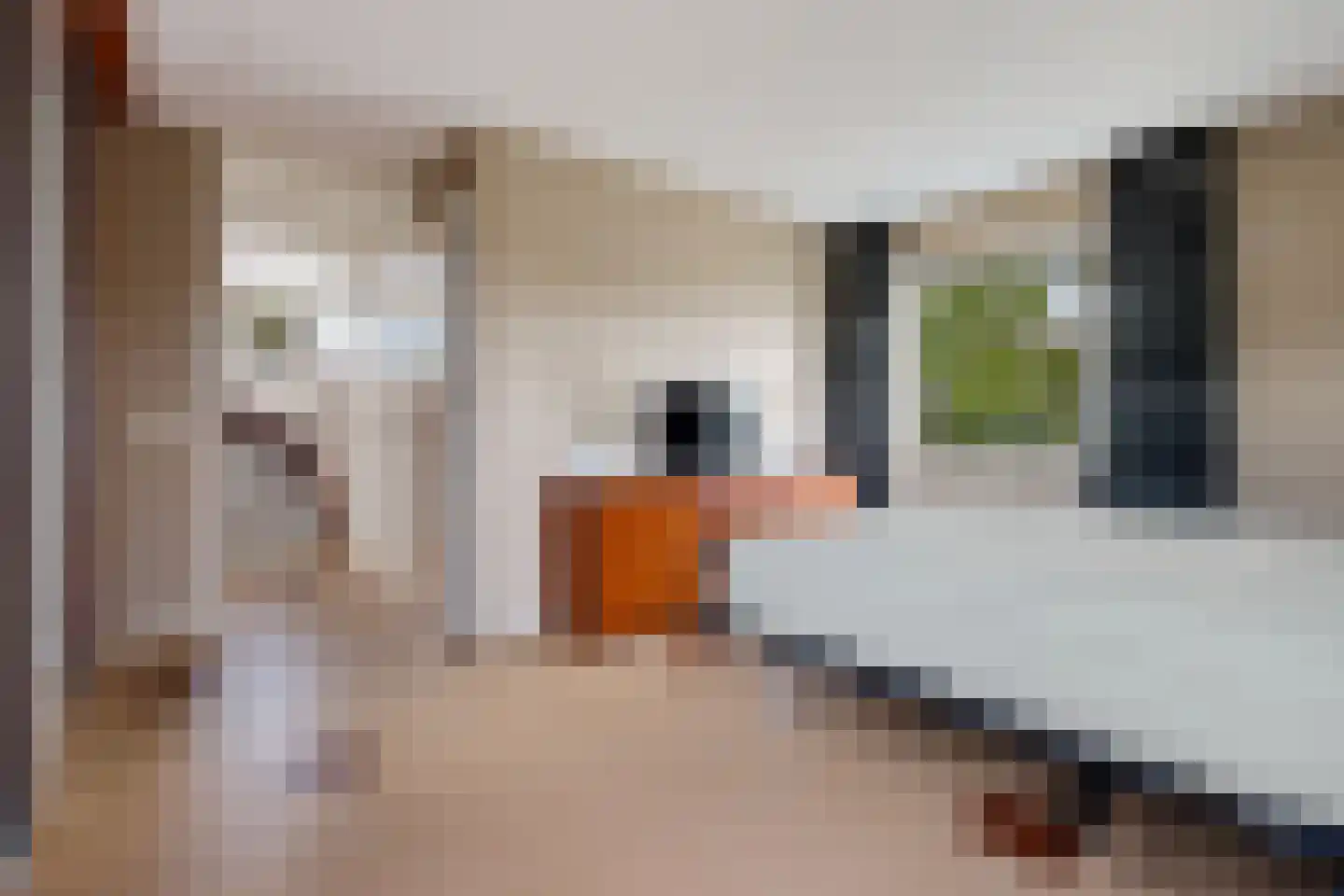 Vliestroom 16 Sneek thumbnail 19