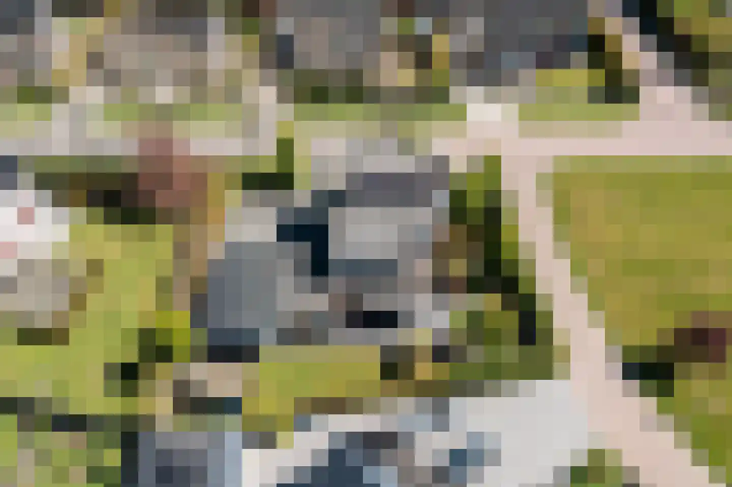 Vliestroom 16 Sneek thumbnail 27