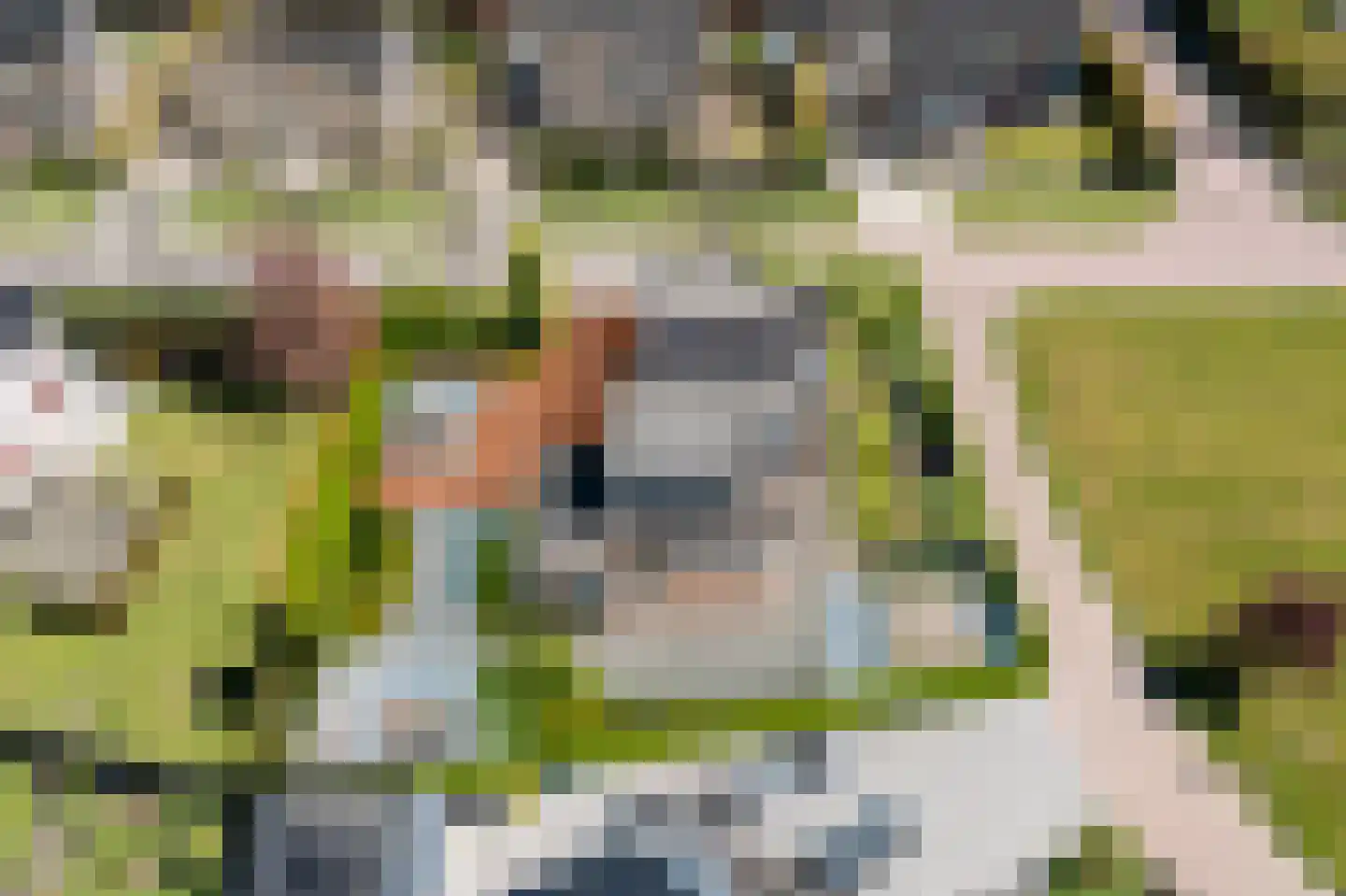 Vliestroom 16 Sneek thumbnail 43
