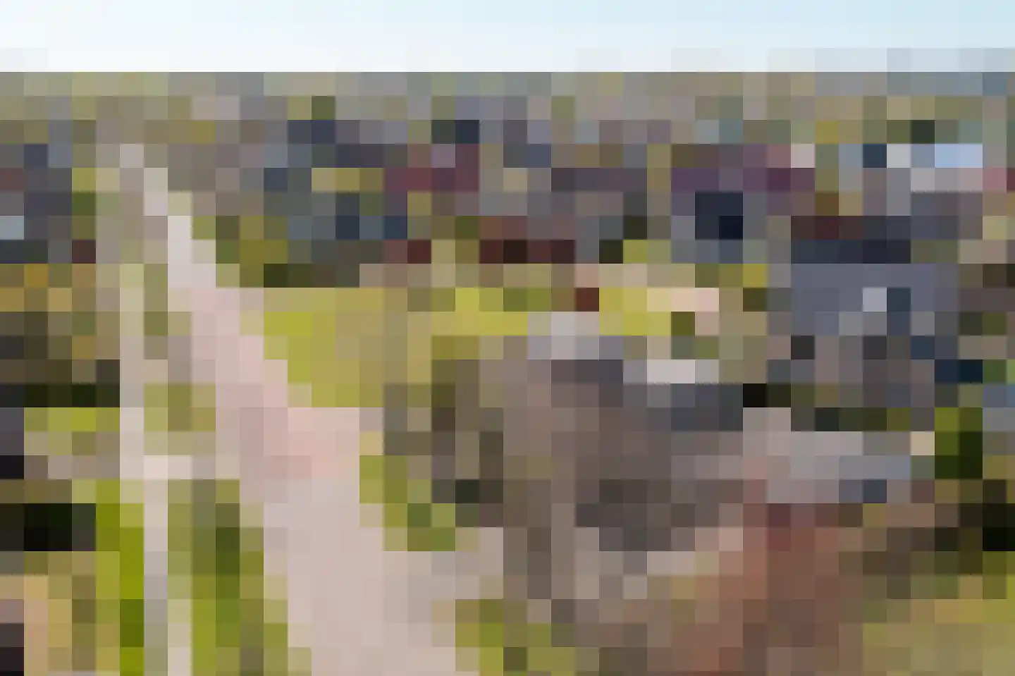 Vliestroom 16 Sneek thumbnail 46