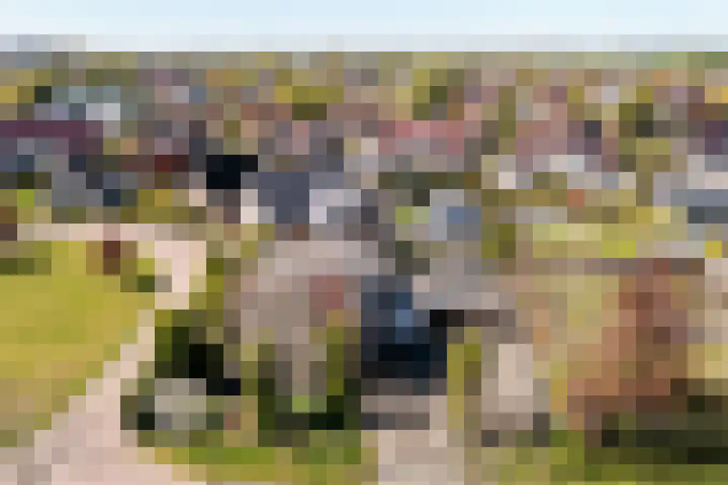 Vliestroom 16 Sneek thumbnail 47