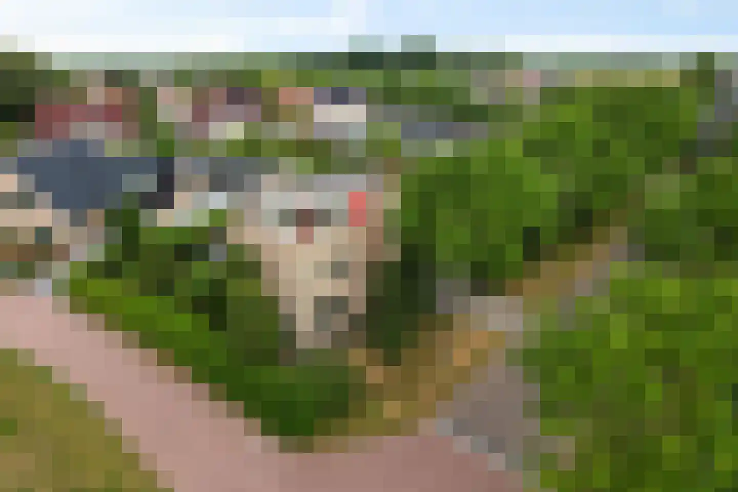 Vliestroom 16 Sneek thumbnail 47