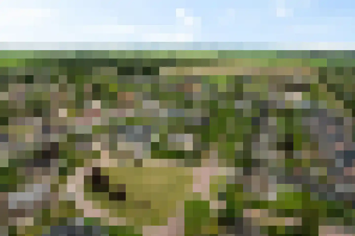 Vliestroom 16 Sneek thumbnail 54