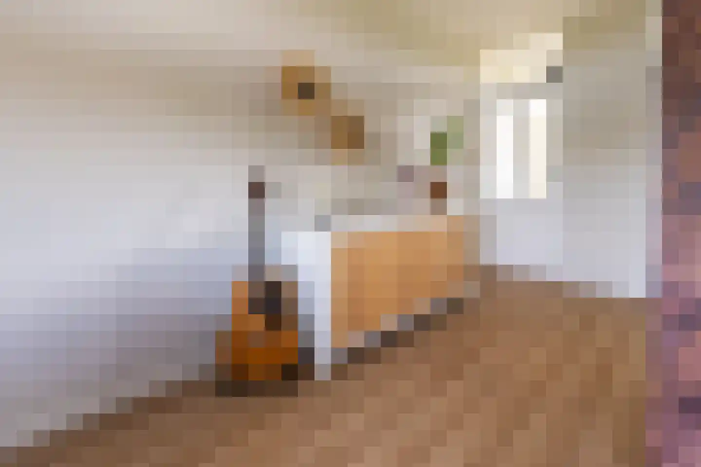 Vliestroom 163 Alphen aan den Rijn thumbnail 4