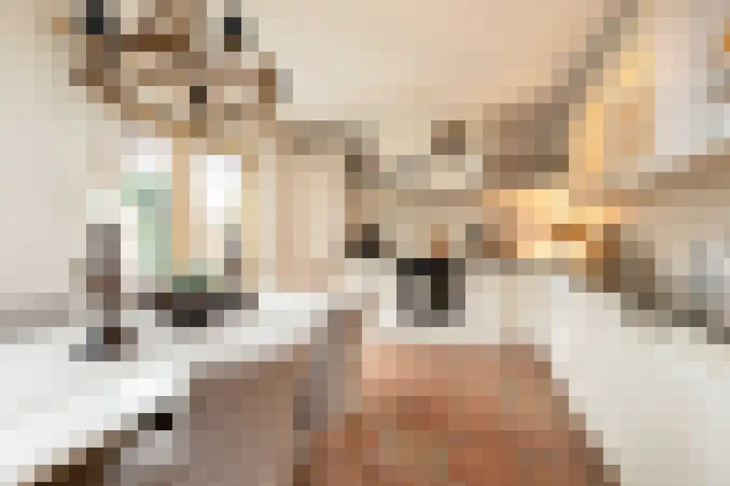 Vliestroom 17 Sneek thumbnail 10
