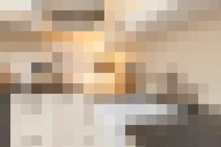 Vliestroom 17 Sneek thumbnail 12