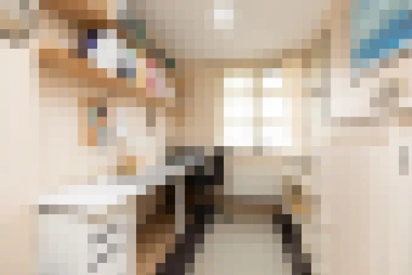 Vliestroom 17 Sneek thumbnail 20