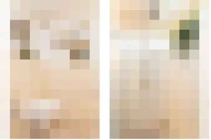 Vliestroom 17 Sneek thumbnail 25