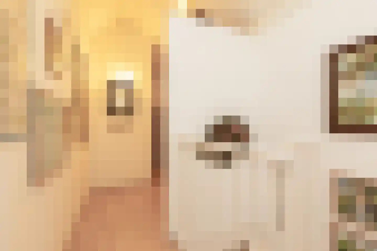 Vliestroom 17 Sneek thumbnail 29