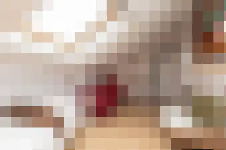 Vliestroom 17 Sneek thumbnail 32