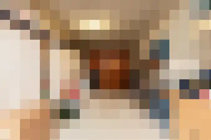 Vliestroom 17 Sneek thumbnail 34