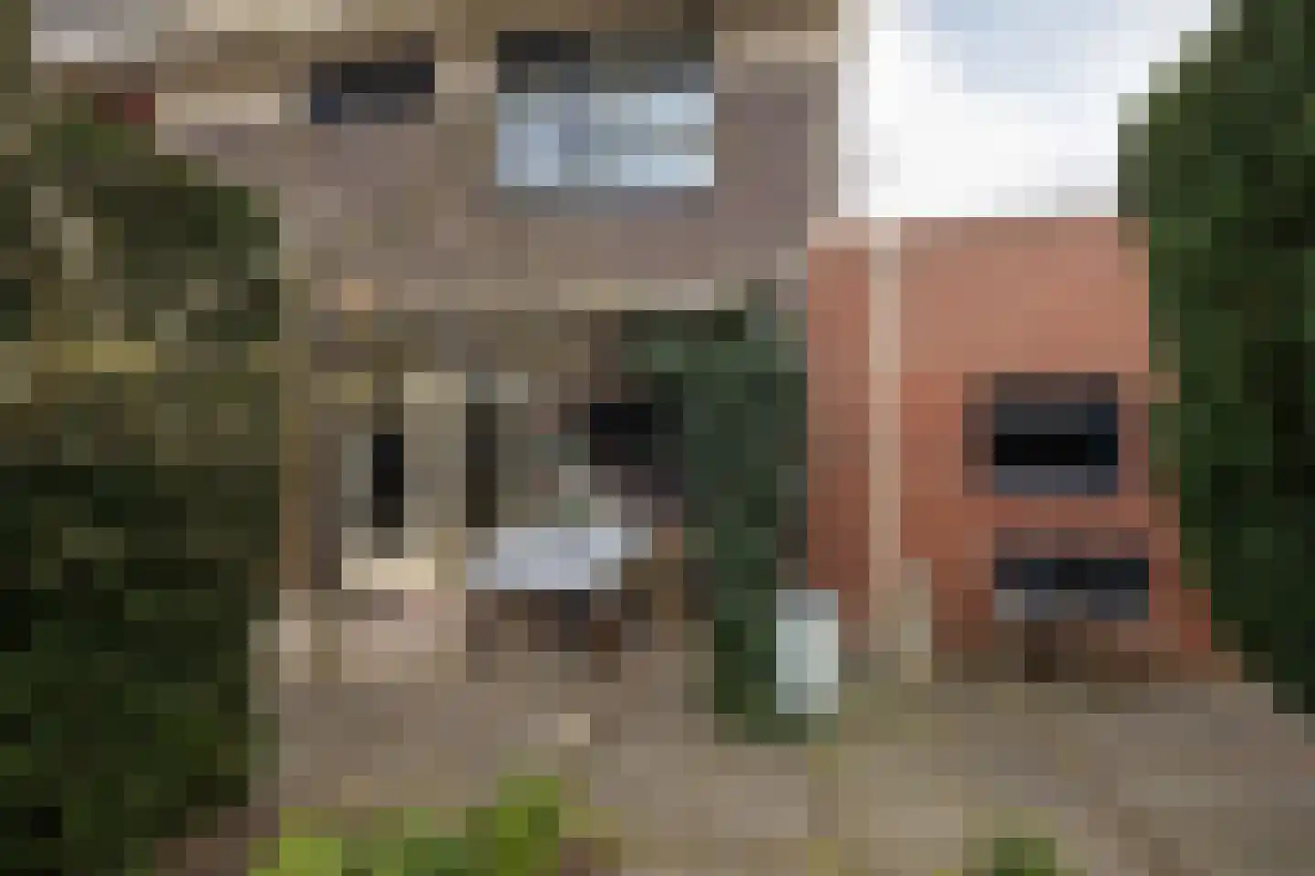 Vliestroom 17 Sneek thumbnail 37