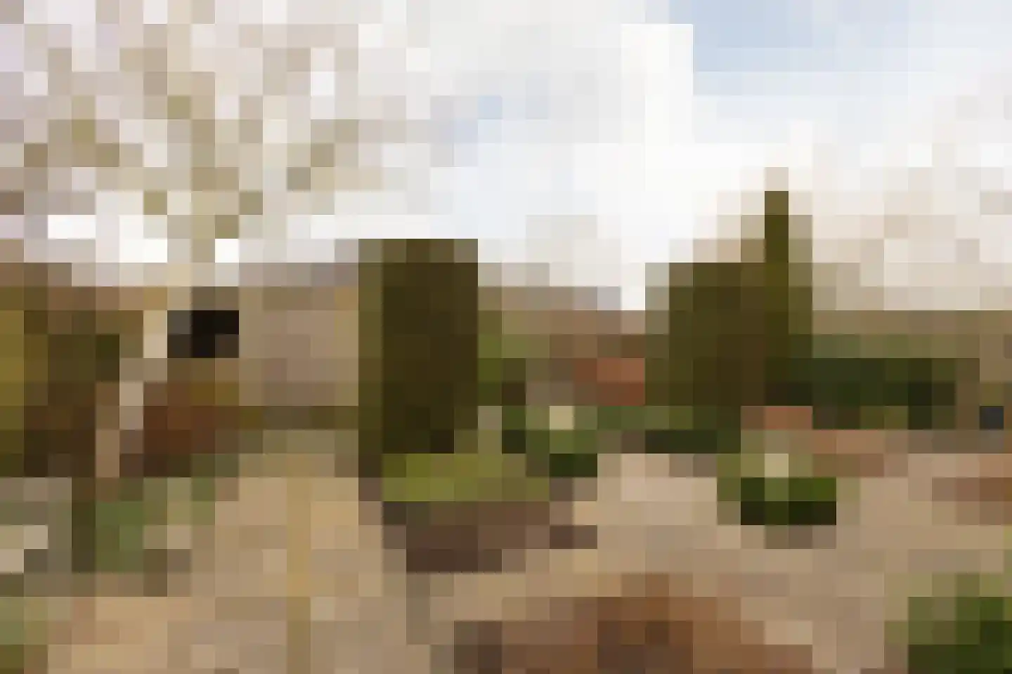 Vliestroom 17 Sneek thumbnail 39
