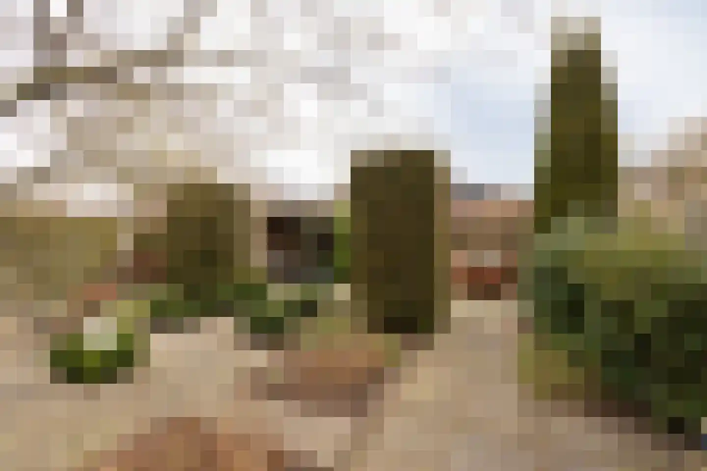 Vliestroom 17 Sneek thumbnail 40