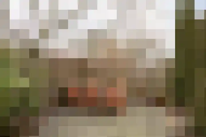 Vliestroom 17 Sneek thumbnail 41