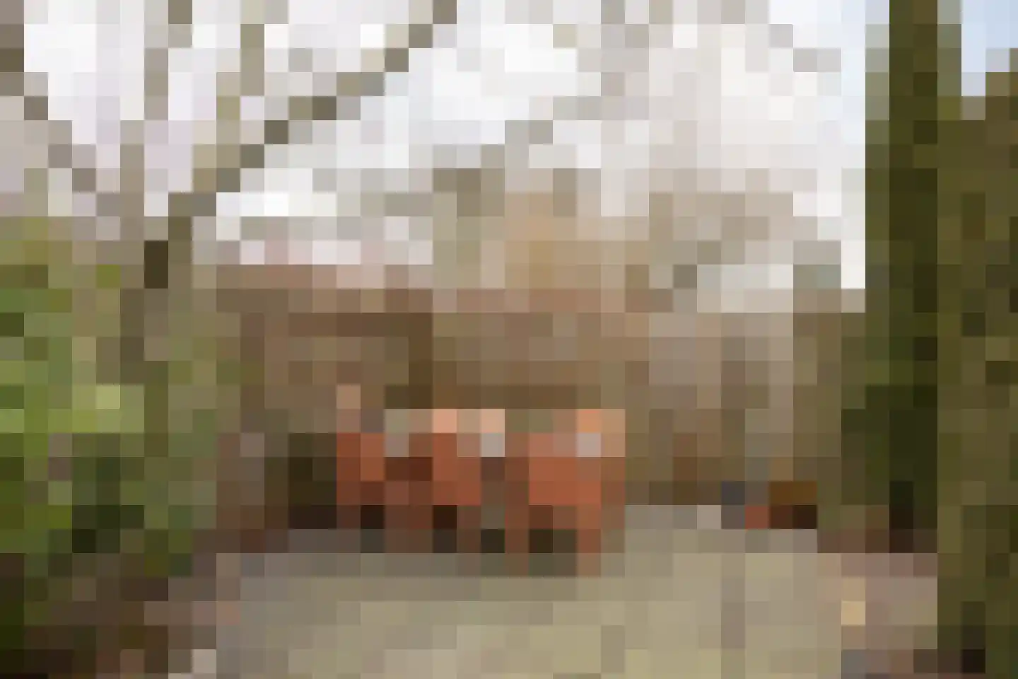 Vliestroom 17 Sneek thumbnail 41