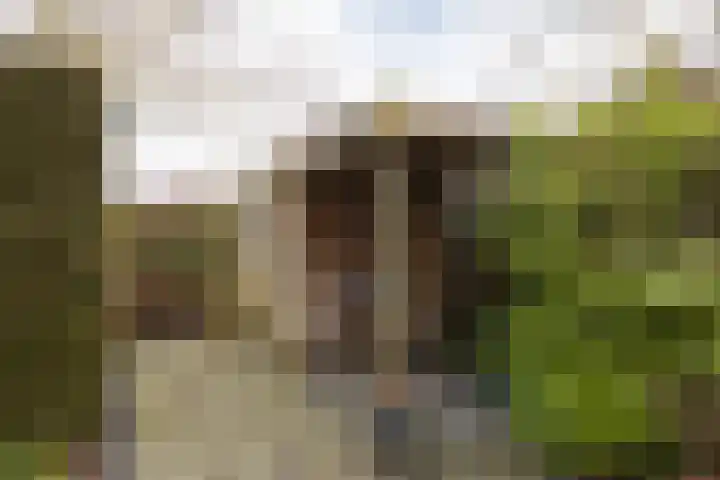 Vliestroom 17 Sneek thumbnail 42
